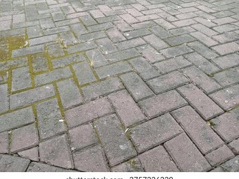 Pflastersteinreinigung